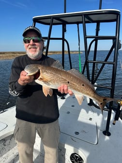 Fishing in Panama City Beach, Florida