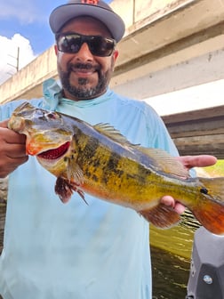 Fishing in Deerfield Beach, Florida