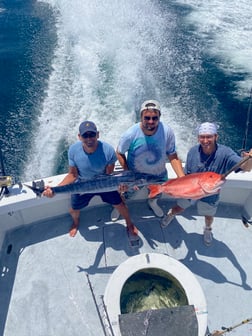 Fishing in Miramar Beach, Florida