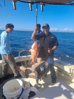 Fishing in South Padre Island, Texas