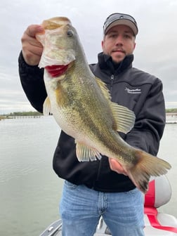 Fishing in Alba, Texas
