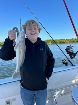 Fishing in Port Orange, Florida