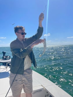 Fishing in Holmes Beach, Florida