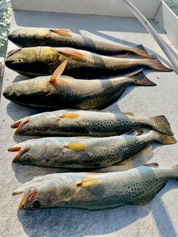 Fishing in South Padre Island, Texas