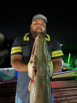 Fishing in South Padre Island, Texas