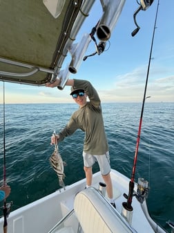 Fishing in Gulf Shores, Alabama