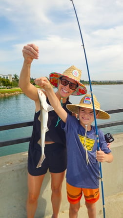 Fishing in San Diego, California