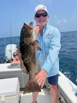 Fishing in Morehead City, North Carolina