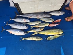 Fishing in Destin, Florida