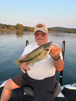 Fishing in Cape Fair, Missouri