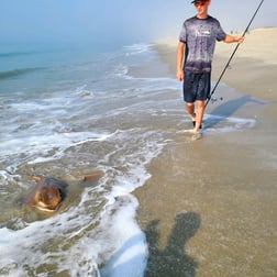 Black Seabass fishing in Stone Harbor, New Jersey