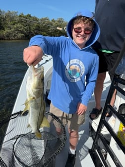 Fishing in Holmes Beach, Florida
