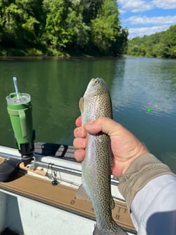 Fishing in Heber Springs, Arkansas