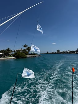 Fishing in Riviera Beach, Florida
