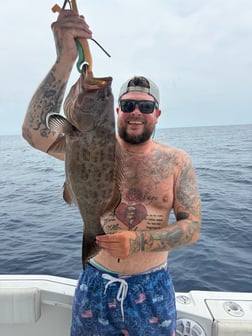 Fishing in Pensacola, Florida