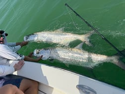Fishing in Indian Rocks Beach, Florida