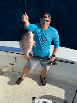 Fishing in Islamorada, Florida