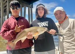 Fishing in D'Iberville, Mississippi