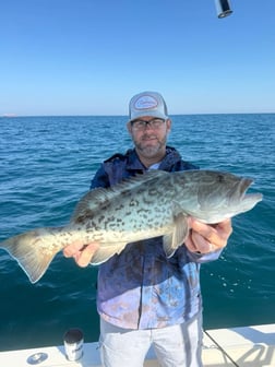Fishing in Ruskin, Florida
