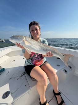 Fishing in Pensacola, Florida