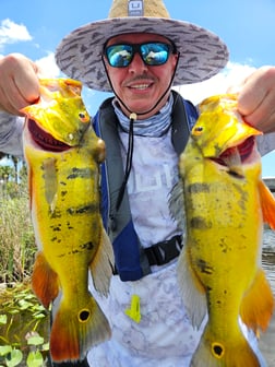 Fishing in Fort Lauderdale, Florida