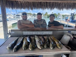 Fishing in Marathon, Florida