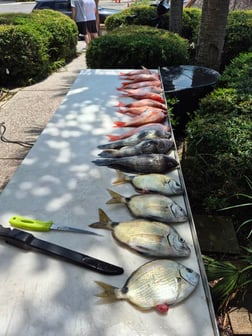 Fishing in St. Marys, Georgia
