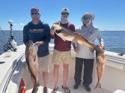 Fishing in Gautier, Mississippi