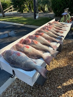 Fishing in Sarasota, Florida