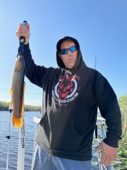 Fishing in Weston, Florida