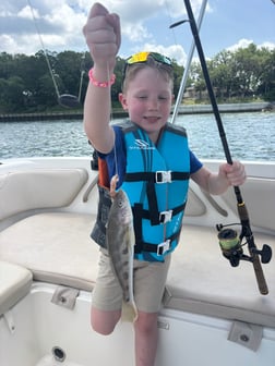 Fishing in Hilton Head Island, South Carolina