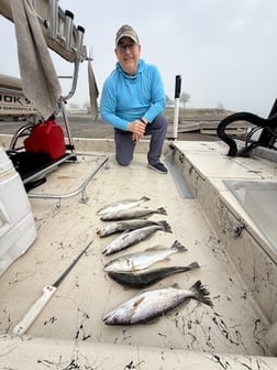 Fishing in Galveston, Texas