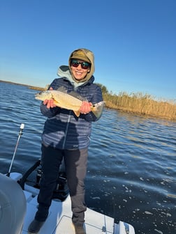 Fishing in New Orleans, Louisiana