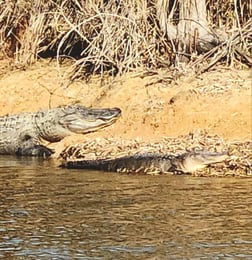 Fishing in Alba, Texas