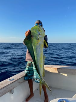 Fishing in West Palm Beach, Florida