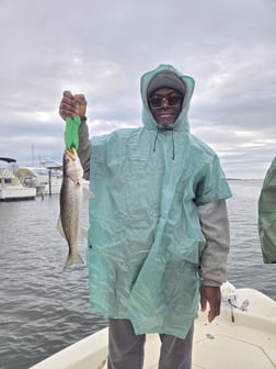 Fishing in Crawfordville, Florida