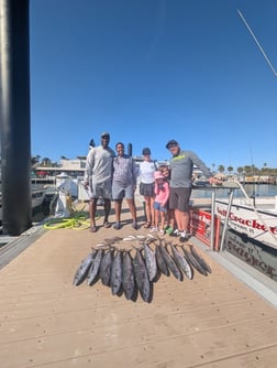 Fishing in Clearwater, Florida