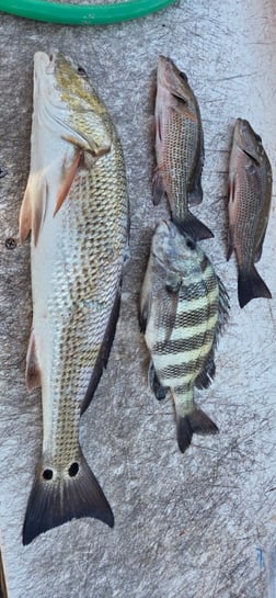 Fishing in Naples, Florida