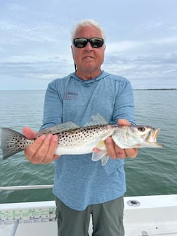 Fishing in Trinity, Florida