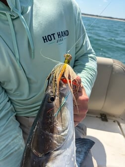 Fishing in Virginia Beach, Virginia