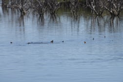Fishing in Aransas Pass, Texas