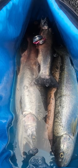 Fishing in Montesano, Washington