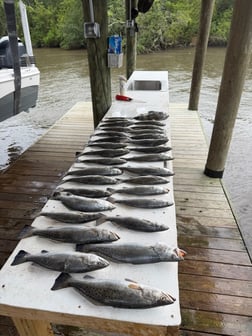 Fishing in Saint Bernard, Louisiana