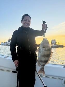 Fishing in Galveston, Texas