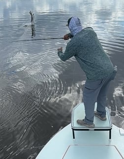 Fishing in Everglades City, Florida