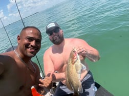 Fishing in St. Petersburg, Florida