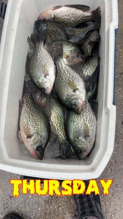 Fishing in Clewiston, Florida