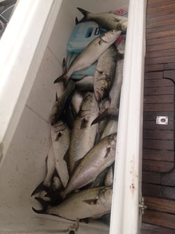 Fishing in Norfolk, Virginia