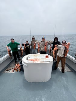 Fishing in Marina del Rey, California
