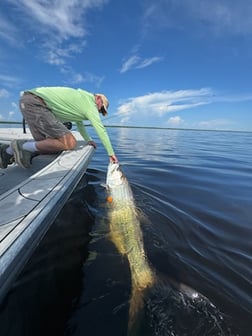 Fishing in Punta Gorda, Florida